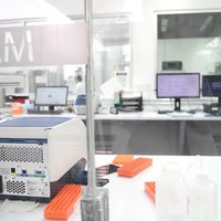 Niega ADN México los señalamientos: No se hizo nada irregular con los perfiles genéticos