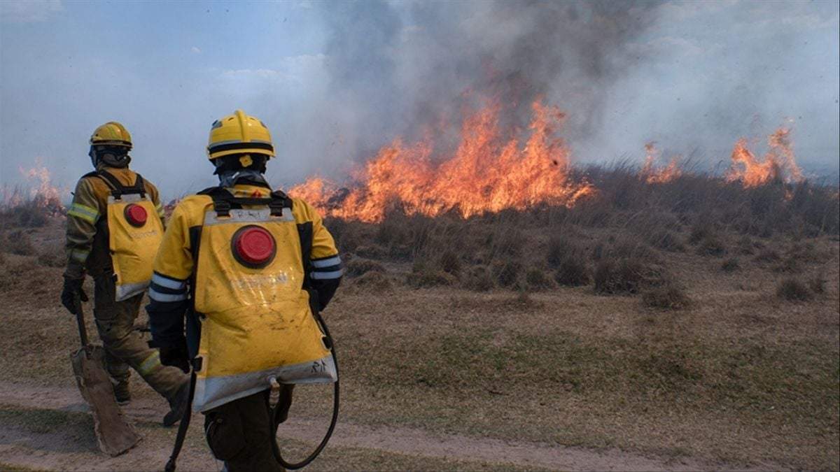 Los incendios en Corrientes. Fuente: (Twitter)