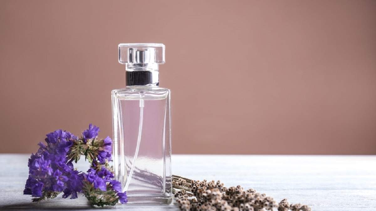 Lavanda. Fuente: (X)