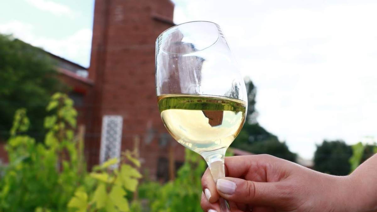 Levadura que logra la mejor tipicidad del Torrontés. Fuente:  (Instagram)