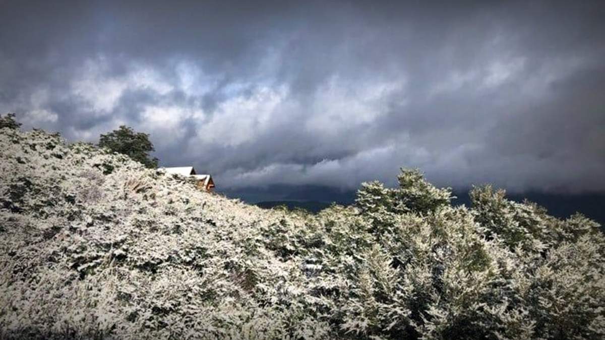 Neuquén. Fuente: (Twitter)