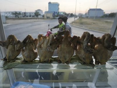 Nuevo caso de gripe aviar en Camboya: Hermano de niño que murió del virus