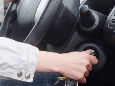 Rituales: la limpieza más profunda que le tenés que hacer a tu auto con esta planta para alejar la mala vibra