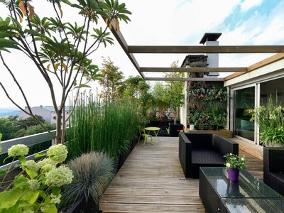 Se acerca la primavera: estas son 5 plantas hermosas e ideales para terrazas con mucho sol