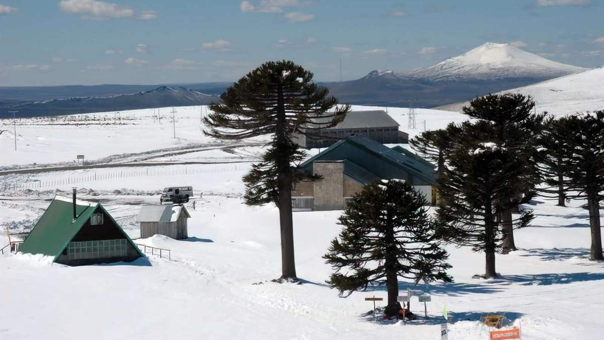 Parque Primeros Pinos. Fuente: (Municipalidad de Zapala).