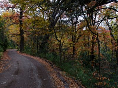 Clima en Neuquén: un viernes con mañanas muy frías y lluvias débiles en la cordillera