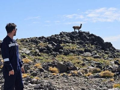 Neuquén realizó más de 800 inspecciones de seguridad ambiental en todo el territorio en 2025