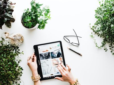 5 errores que todo el mundo comete cuando compra una planta nueva