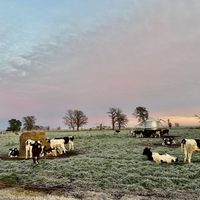 La Pampa, atenta a las heladas: una ola polar tomará el centro y norte del país
