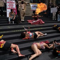 Activistas protestan contra las corridas de toros en el Congreso de la CDMX (Video)