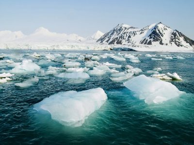 Cambio climático: detectaron la presencia de un pez tropical en el océano Ártico
