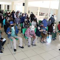 Gobierno de Zacatecas ofrece licencias de conducir gratis a quienes se vacunen