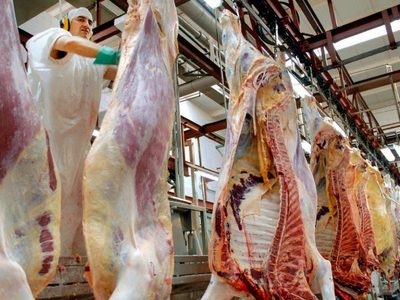 Revés para el campo: el Gobierno abre las exportaciones de carne
