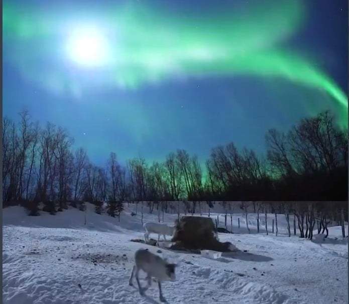 Aurora boreal