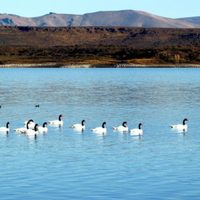 Habilitan espacios de recreación en el Parque Nacional Laguna Blanca