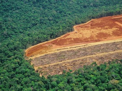 ONU exige reconocer el ecocidio como crimen en la Corte Penal Internacional