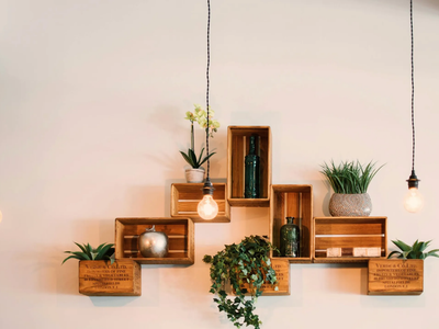 No tires las lamparitas quemadas: mirá esta hermosa idea para decorar con tus plantas de agua