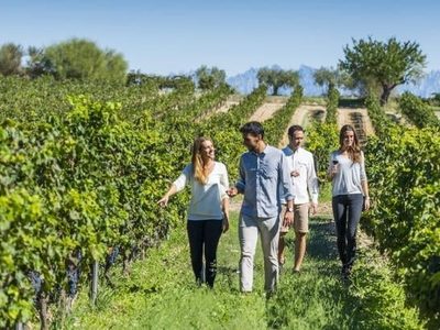 El enoturismo toma medidas de prevención por coronavirus