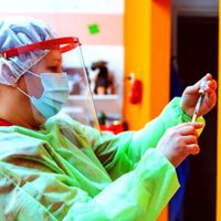 Cómo será el mega operativo de vacunación contra el coronavirus en la Provincia