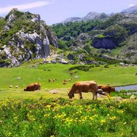 Esperan que, en el 2021, se dé un notable crecimiento del turismo rural