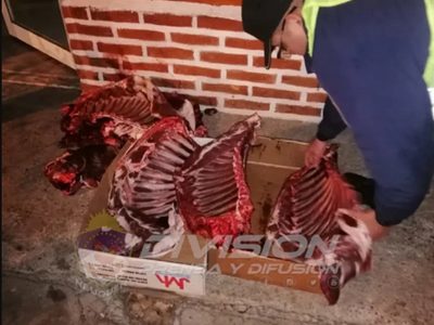 Transportaba carne en forma ilegal, lo detuvieron y secuestraron la mercadería
