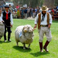 ¡Cita imperdible!: Nueva edición de la Expo Rural de Bariloche