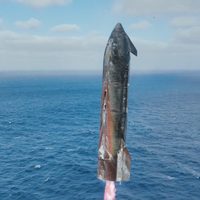 Lanzamiento del Starship 11 evidencia aumento de basura espacial en Playa Bagdad