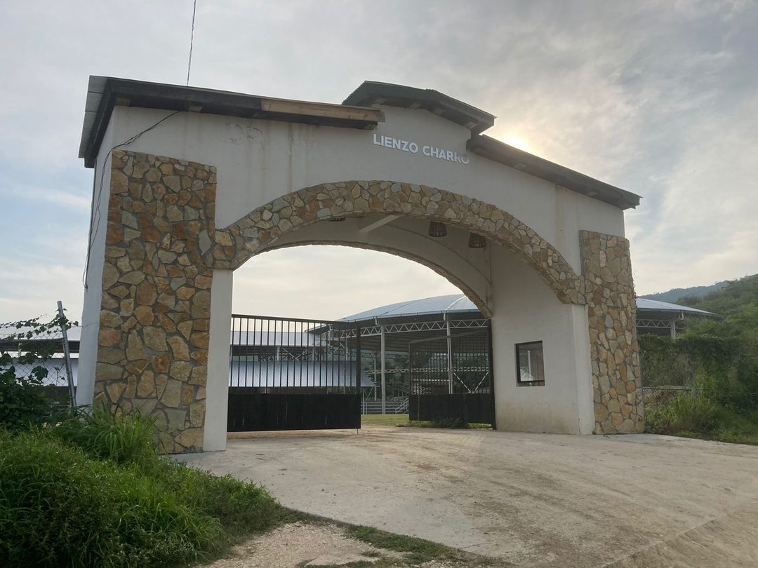 lienzo 1