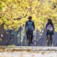 El Turismo de cercanía como alternativa en la pandemia