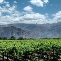 Del interior se extrajeron U$S 200 mil millones