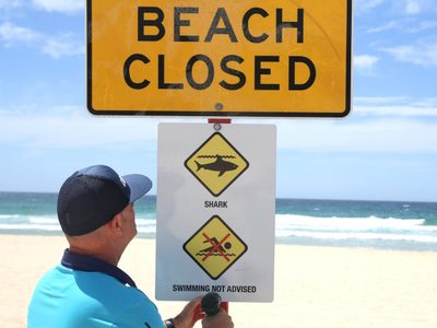 Ataque de tiburón blanco en Australia: cerraron varias playas de Sídney y buscan al animal