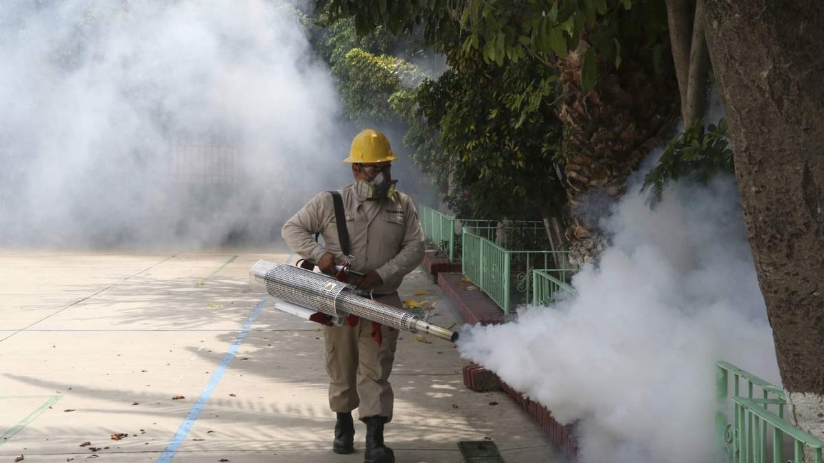 Fumigación contra mosquitos transmisores del dengue