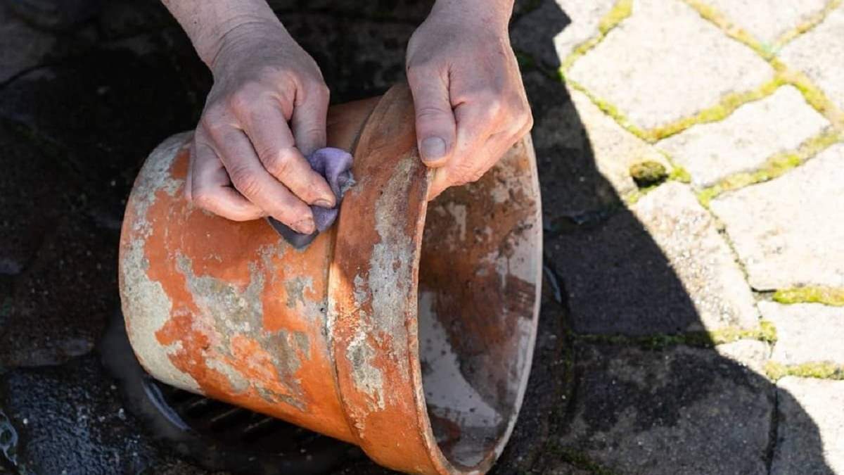 Macetas. Fuente: (Jardinería)