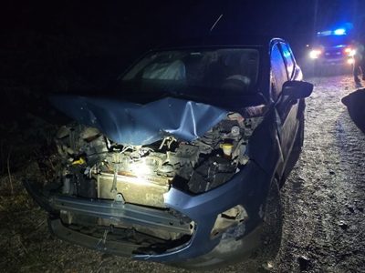 Un automovilista chocó contra dos novillos que se cruzaron por la Ruta 40 camino a  San Martín de los Andes