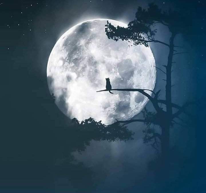 Luna de octubre
