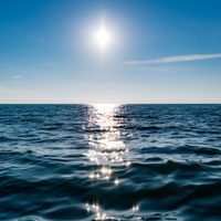 Las más insólitas curiosidades sobre los oceános y los mares