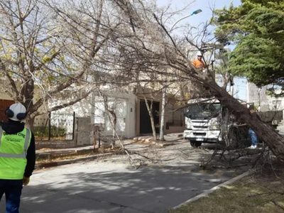 Por el fuerte viento se desprendió una garita que casi aplasta a una niña