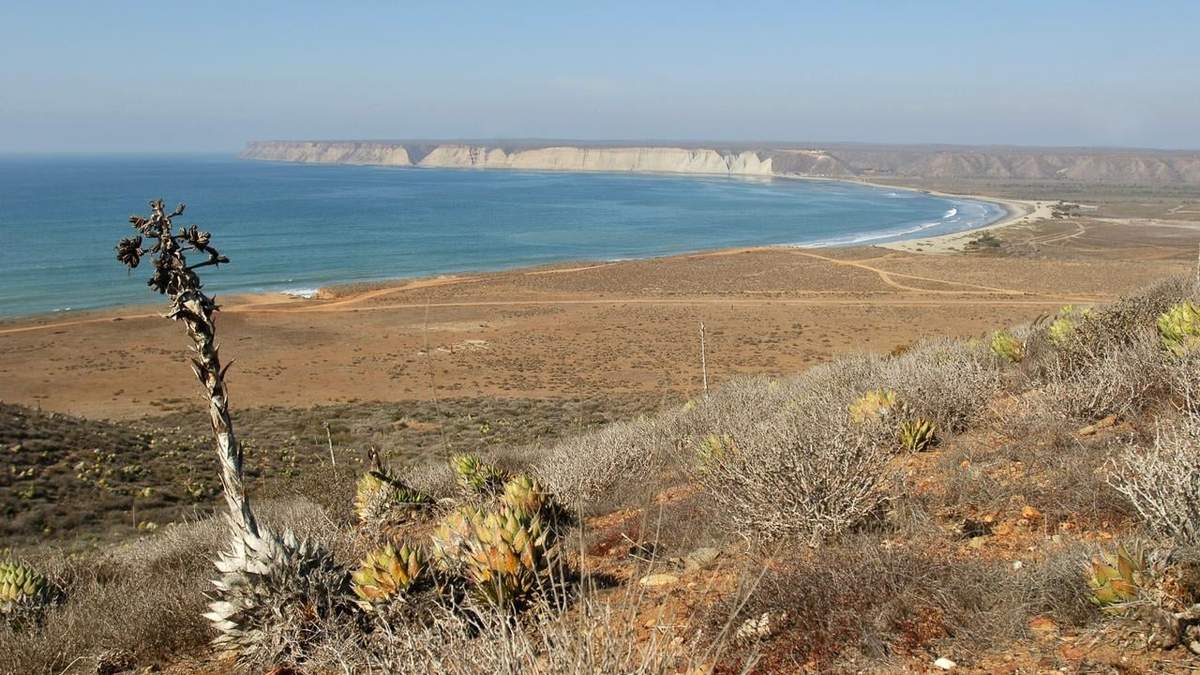 Golfo de California. Botín ambiental para megaproyectos de gas