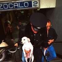 El CTC, único en el mundo, festejó un año más de rescatar lomitos de las vías del Metro