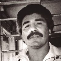 Narcos-México:  La hegemonía estadunidense  en la industria cultural mexicana