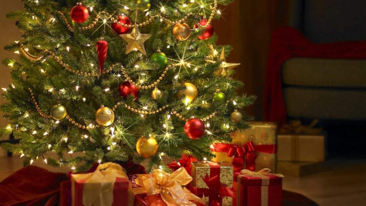 Árboles de Navidad: hay que armarlos el 8. Fuente: (Instagram)
