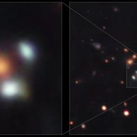 Una flor de cuatro pétalos vista en el espacio