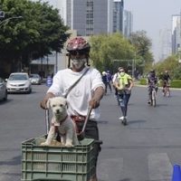 Esta es la ruta del Paseo Ciclista en CDMX para este domingo