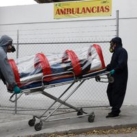 La ivermectina, el antiparasitario que divide las opiniones médicas