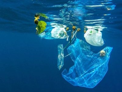 Greenpeace México solicitó a juez federal que se legisle para prohibir los plásticos de un solo uso