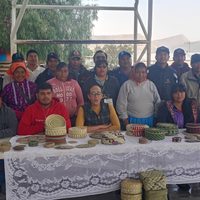 Mujeres tarahumaras migran más que los hombres; escasez de agua provoca cambio en roles familiares