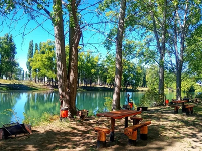 Un paraíso sobre el Limay: la isla perfecta para pasar el verano cerca de Neuquén y el Alto Valle
