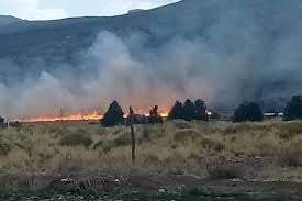Incendio en Aluminé