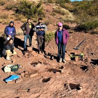 Neuquén: investigadores de la UNCo descubrieron un yacimiento de huellas de dinosaurios
