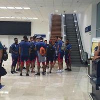 Motor de Viva Aerobus se "traga" ave y aterriza de emergencia en Veracruz; iba a bordo el club Tiburones
